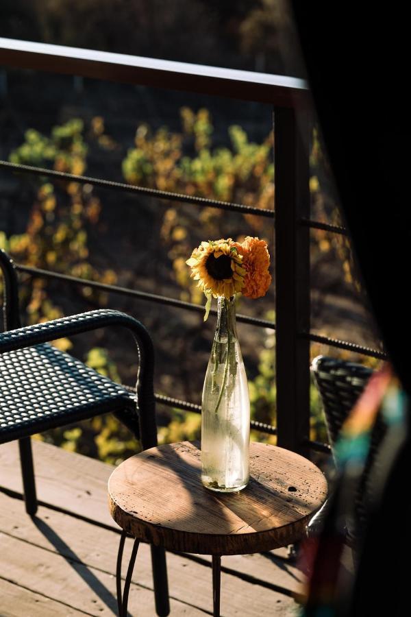 Uvauva Eco-Retreat Bed & Breakfast Valle de Guadalupe Dış mekan fotoğraf