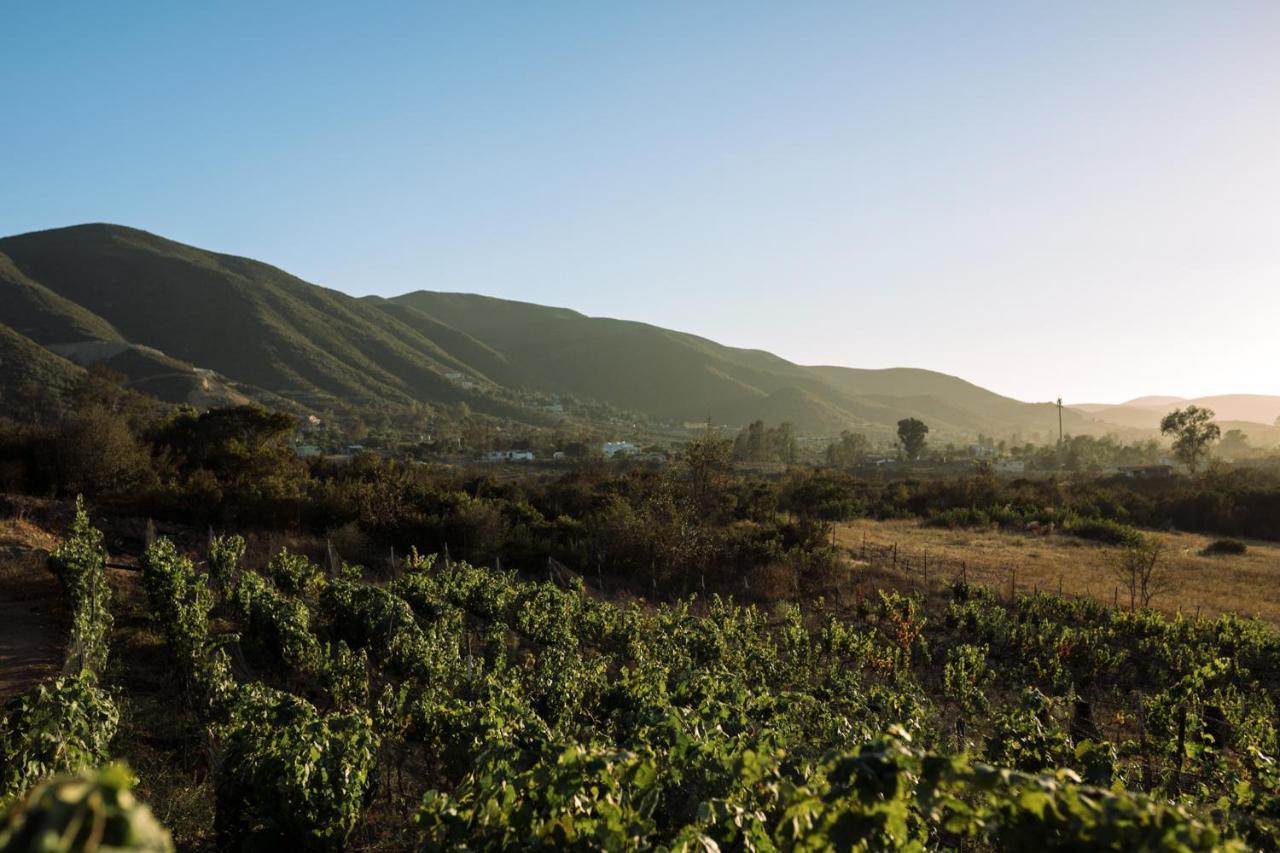 Uvauva Eco-Retreat Bed & Breakfast Valle de Guadalupe Dış mekan fotoğraf