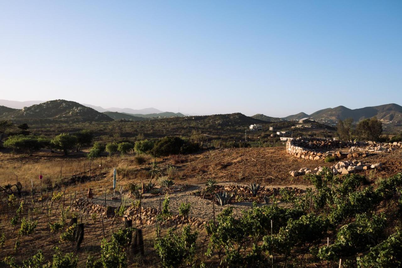 Uvauva Eco-Retreat Bed & Breakfast Valle de Guadalupe Dış mekan fotoğraf