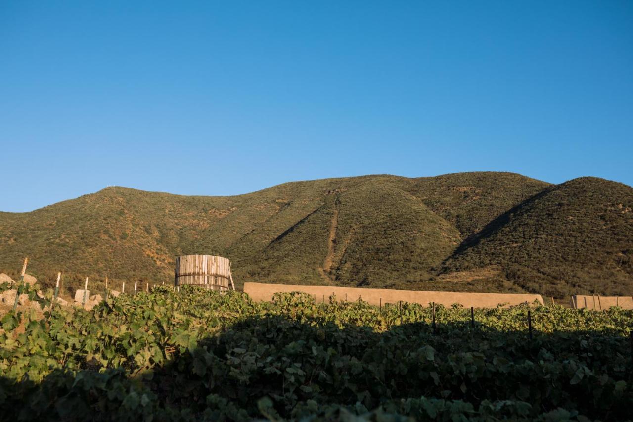 Uvauva Eco-Retreat Bed & Breakfast Valle de Guadalupe Dış mekan fotoğraf