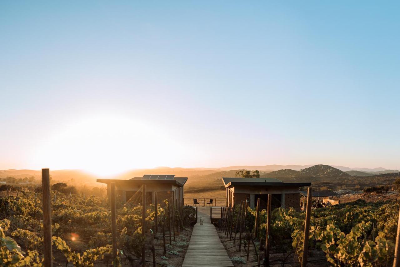Uvauva Eco-Retreat Bed & Breakfast Valle de Guadalupe Dış mekan fotoğraf