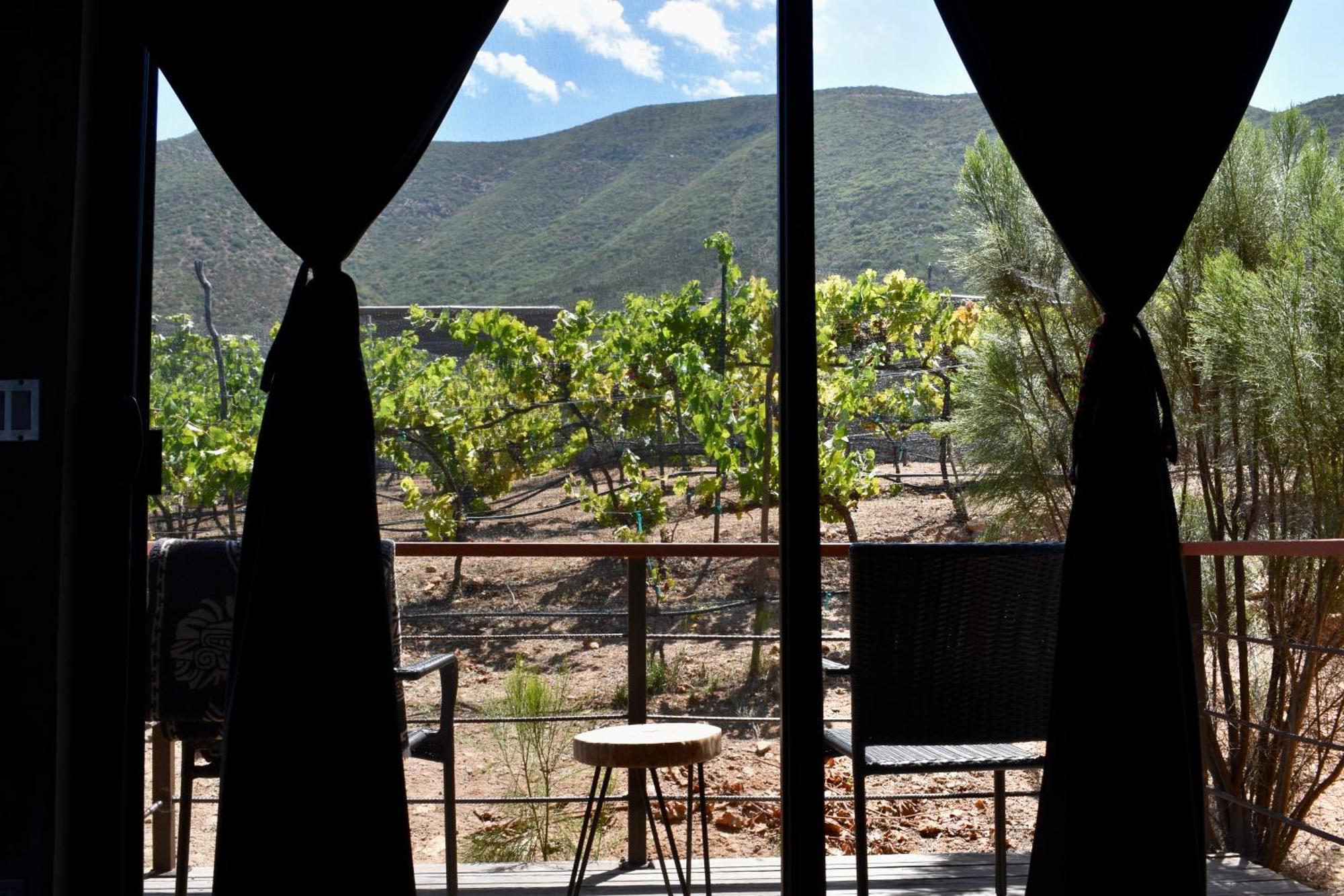 Uvauva Eco-Retreat Bed & Breakfast Valle de Guadalupe Dış mekan fotoğraf