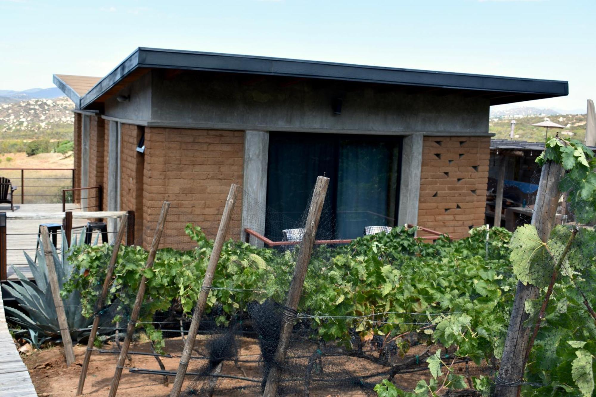 Uvauva Eco-Retreat Bed & Breakfast Valle de Guadalupe Dış mekan fotoğraf
