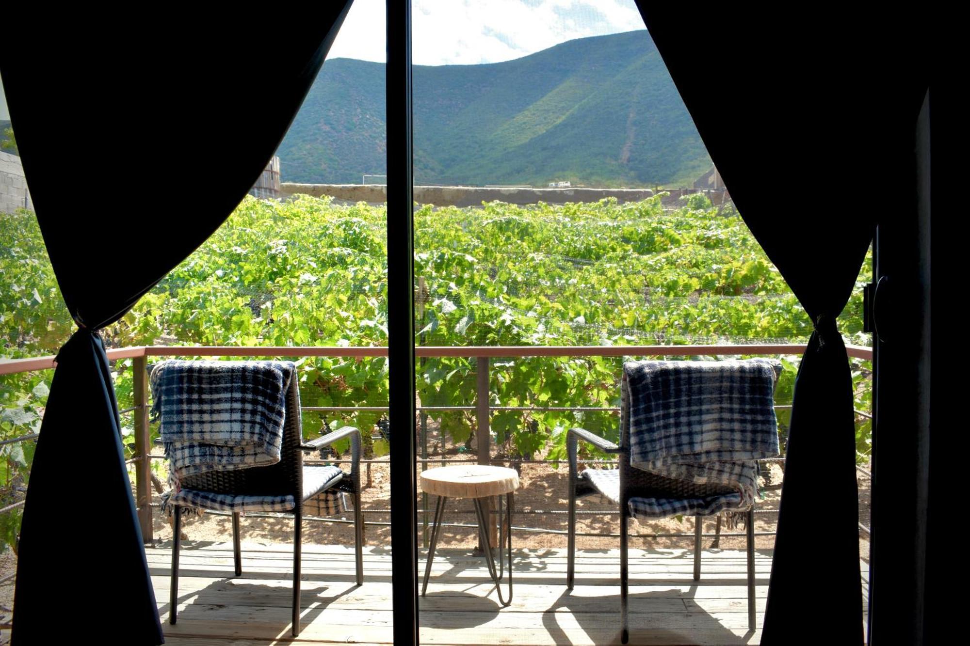 Uvauva Eco-Retreat Bed & Breakfast Valle de Guadalupe Dış mekan fotoğraf